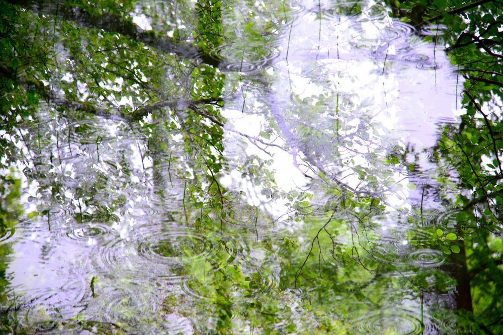 Fotosclub Juni 24  1